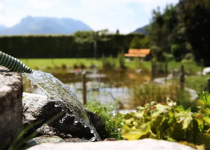 Alpengruss * קוסן